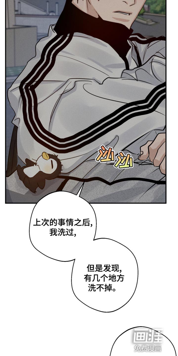 第43章：喜欢企鹅