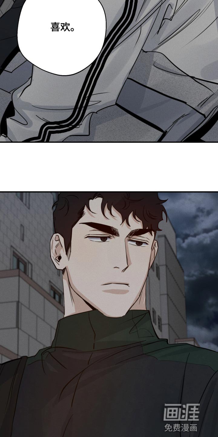 第43章：喜欢企鹅