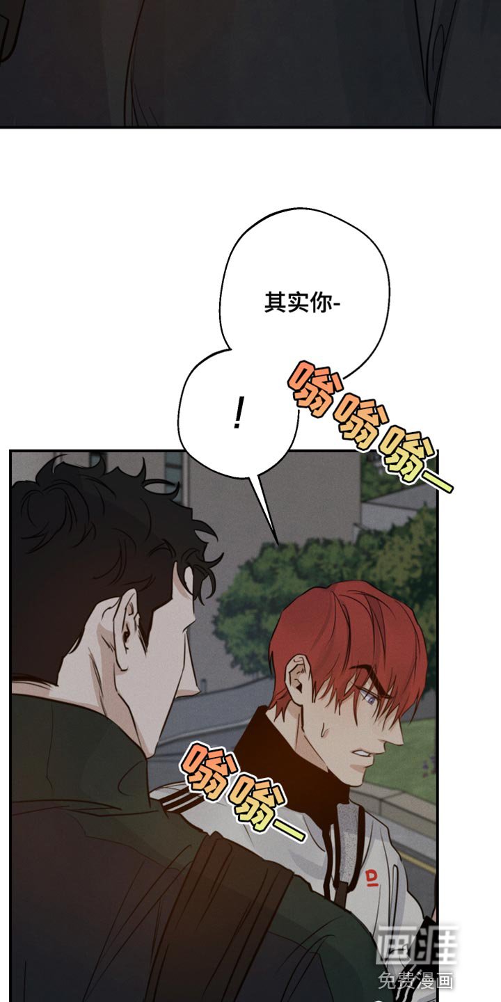 第43章：喜欢企鹅