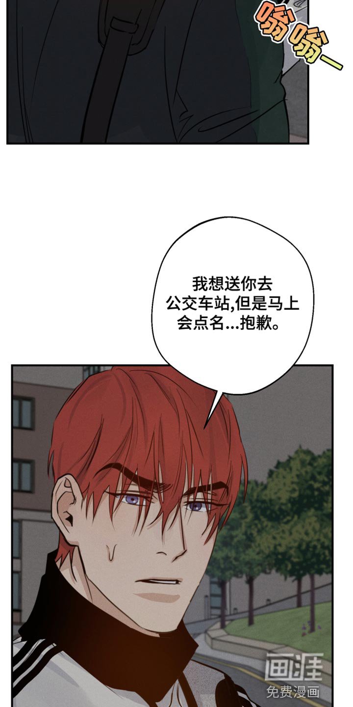 第43章：喜欢企鹅