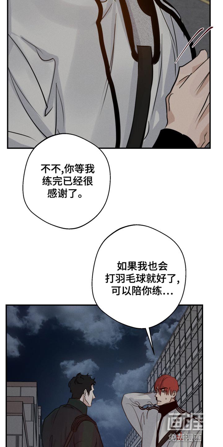 第43章：喜欢企鹅