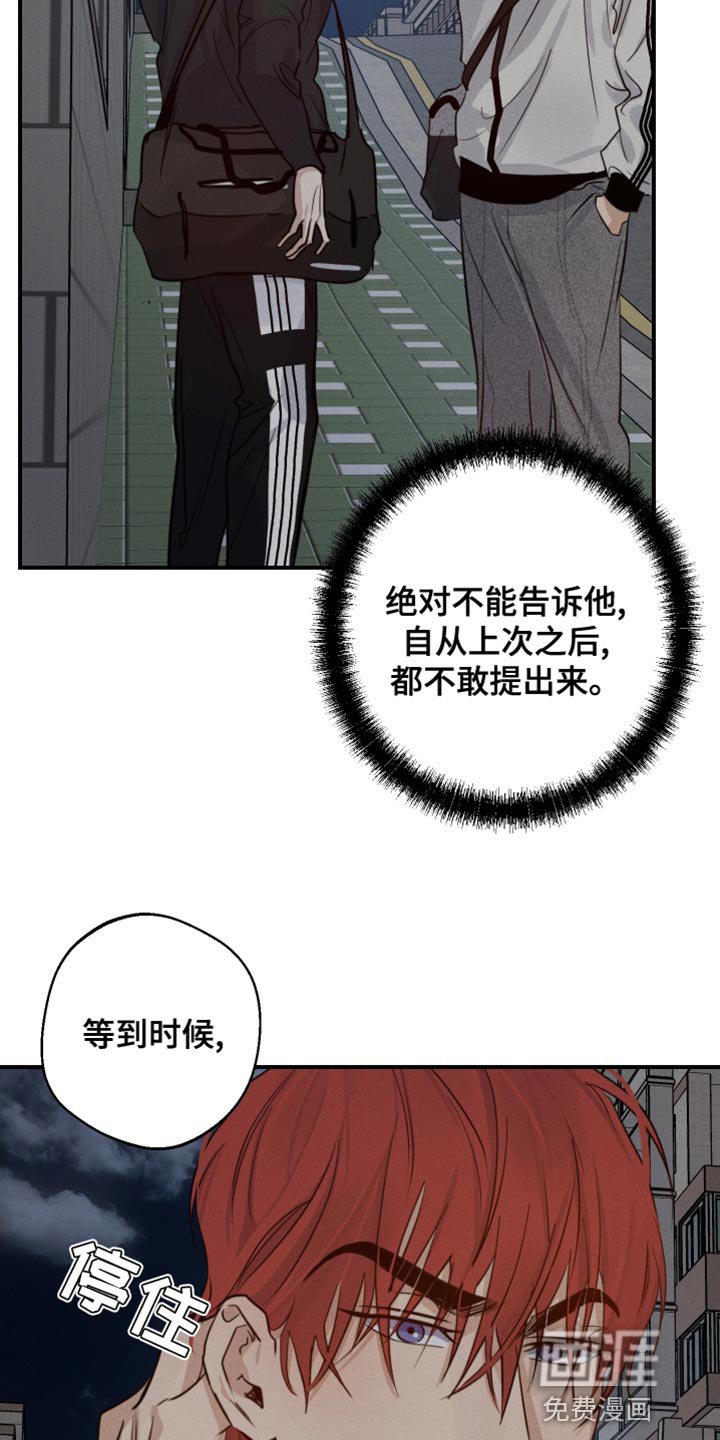 第43章：喜欢企鹅