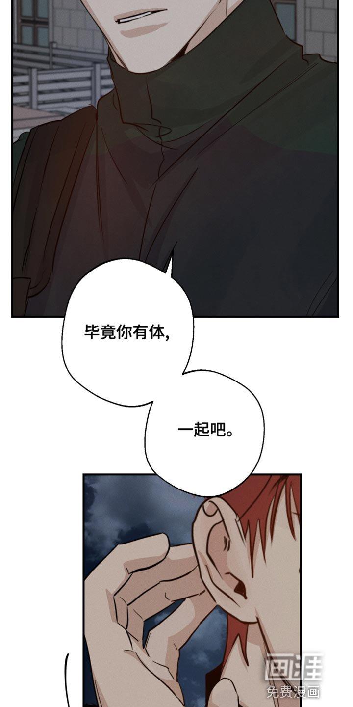 第43章：喜欢企鹅