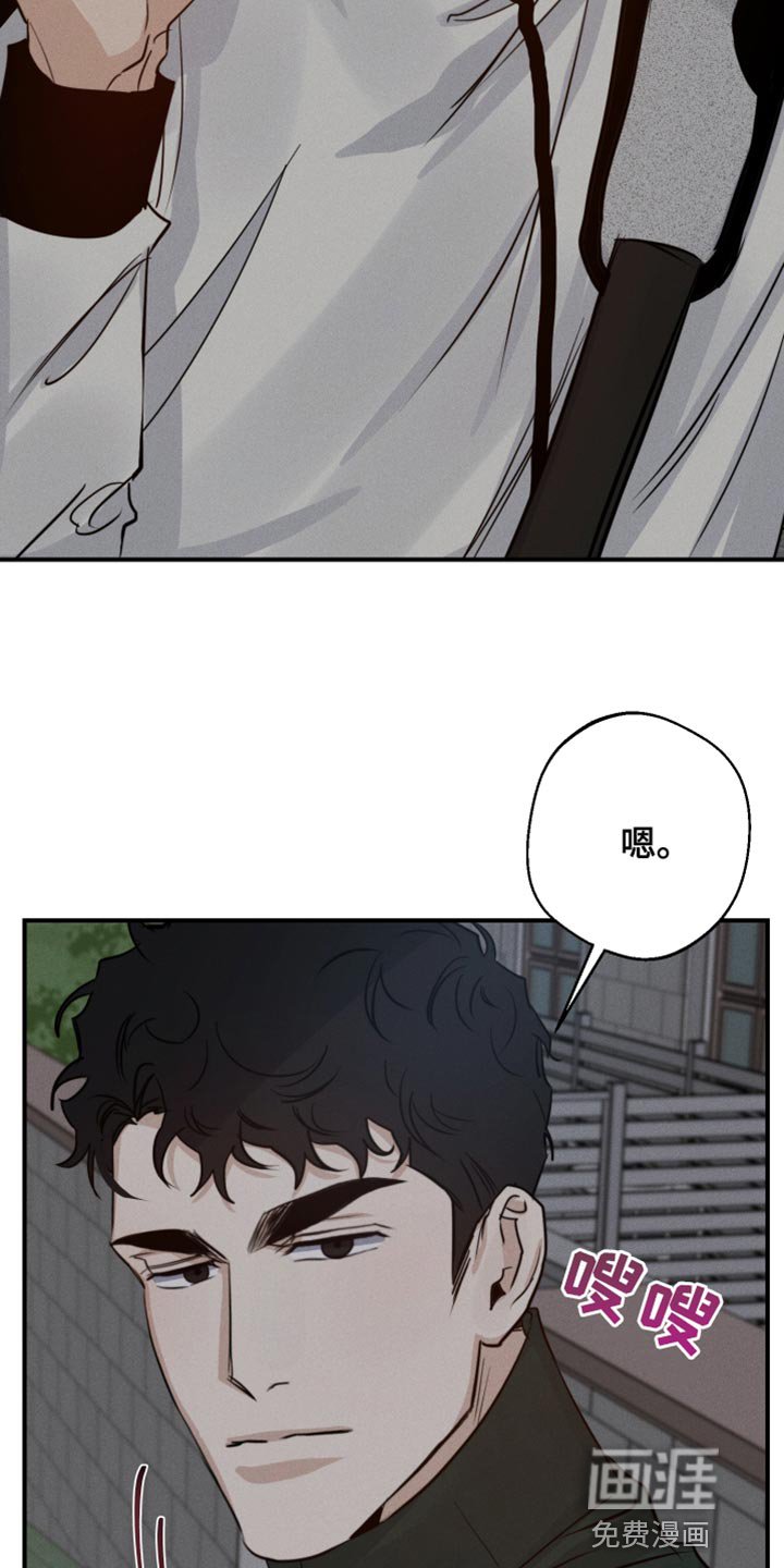 第43章：喜欢企鹅