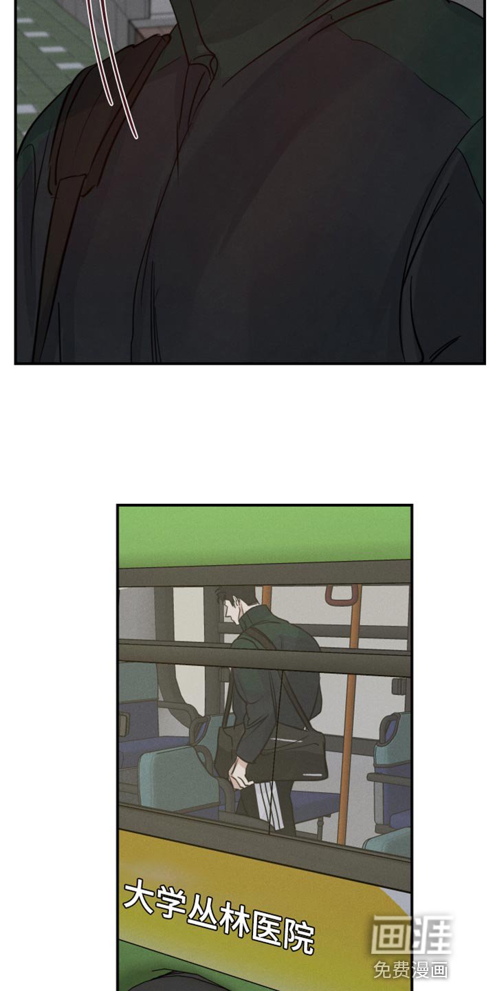 第43章：喜欢企鹅