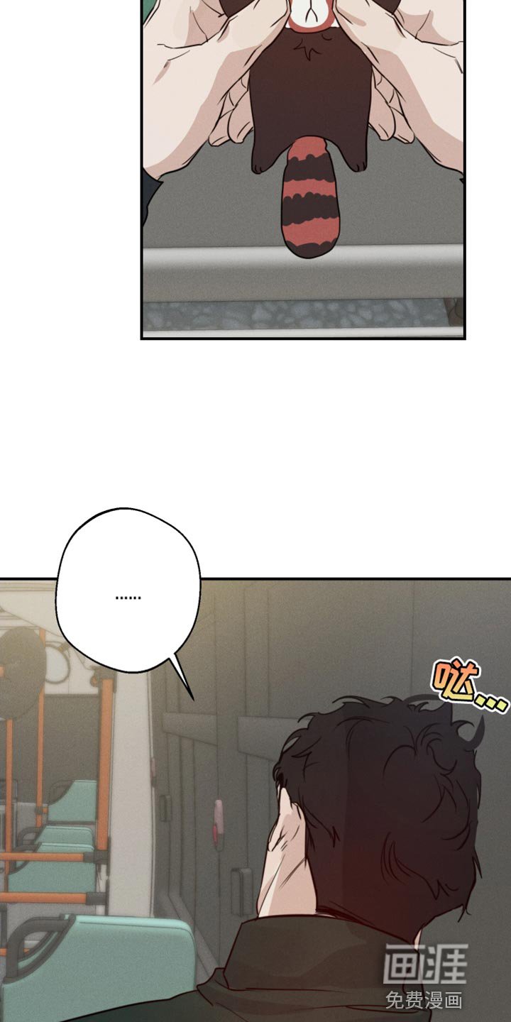第43章：喜欢企鹅