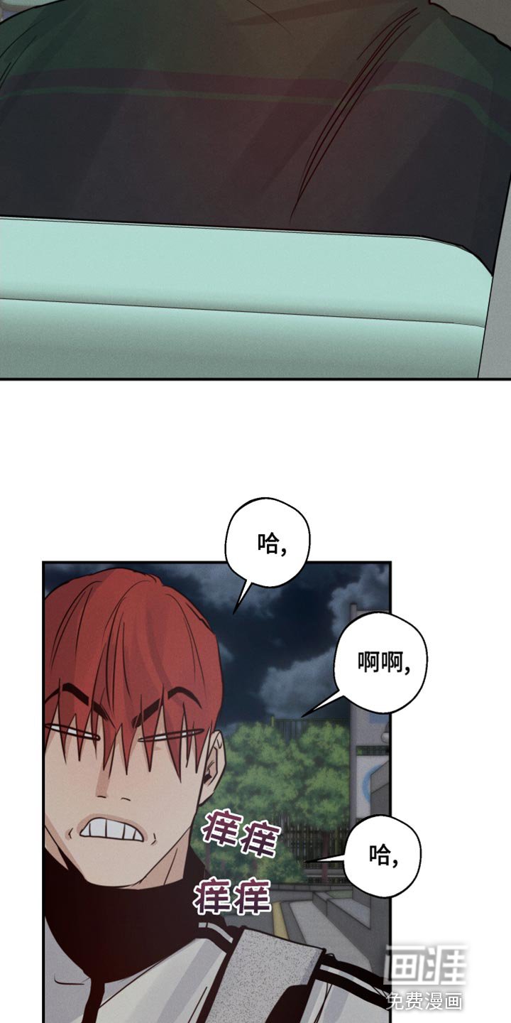 第43章：喜欢企鹅