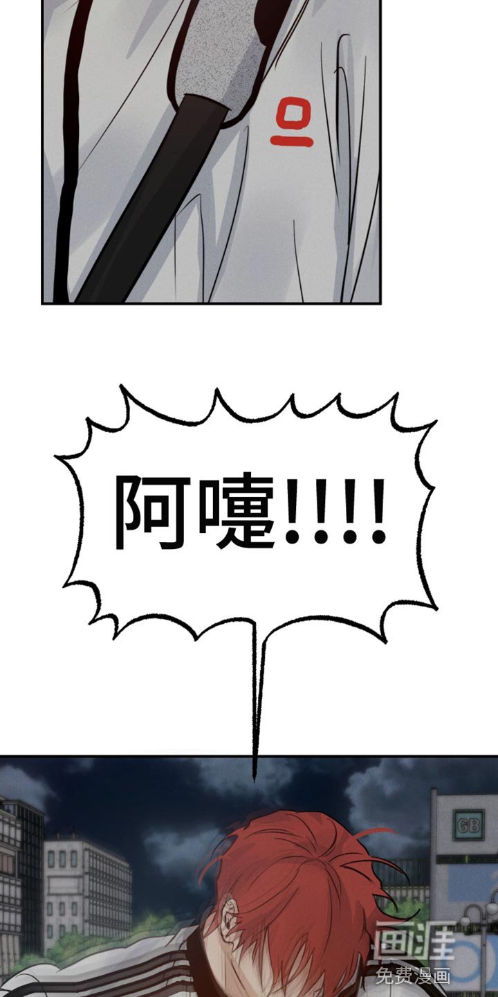 第43章：喜欢企鹅