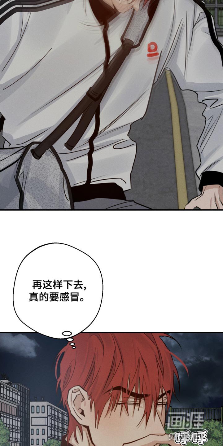 第43章：喜欢企鹅