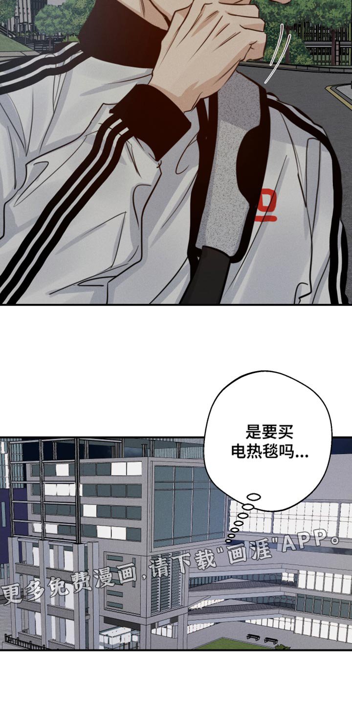 第43章：喜欢企鹅