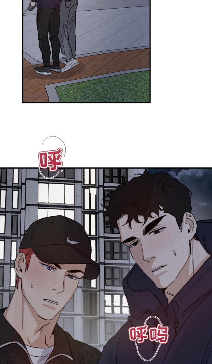 第47章：散步
