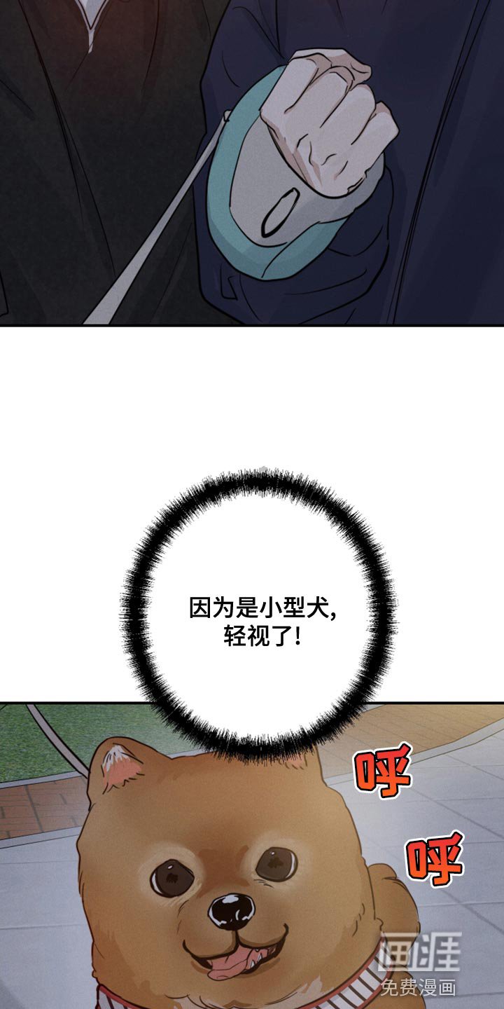 第47章：散步