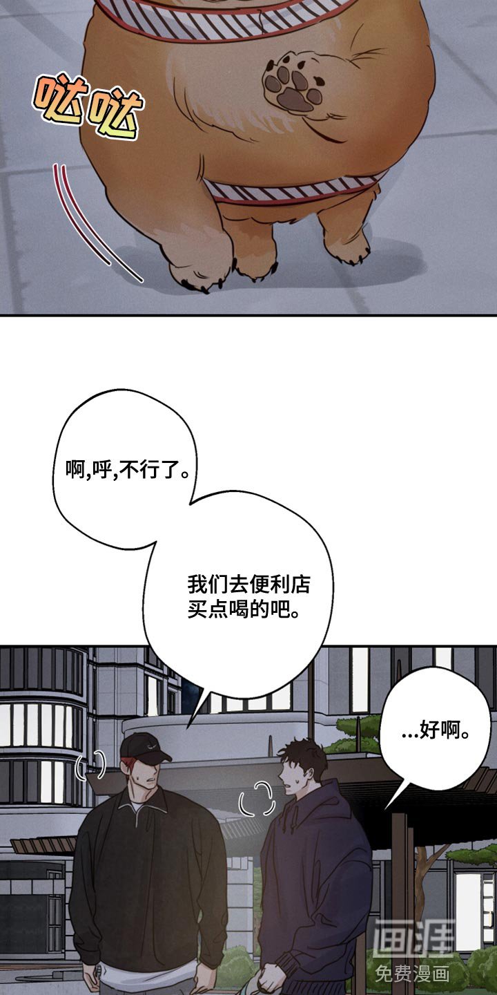 第47章：散步