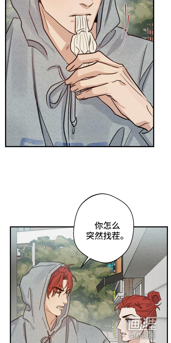 第49章：到底是谁