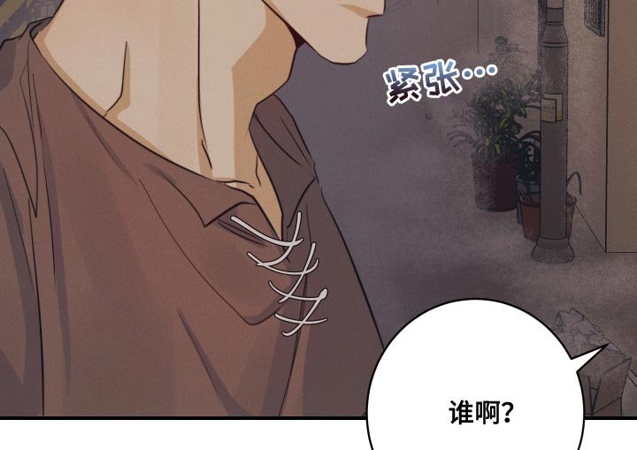 第51章：【番外】圣诞节