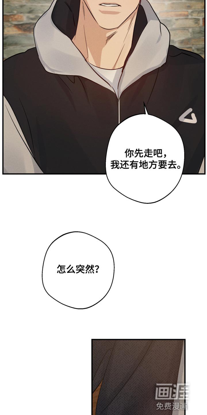 第53章：多余的想法