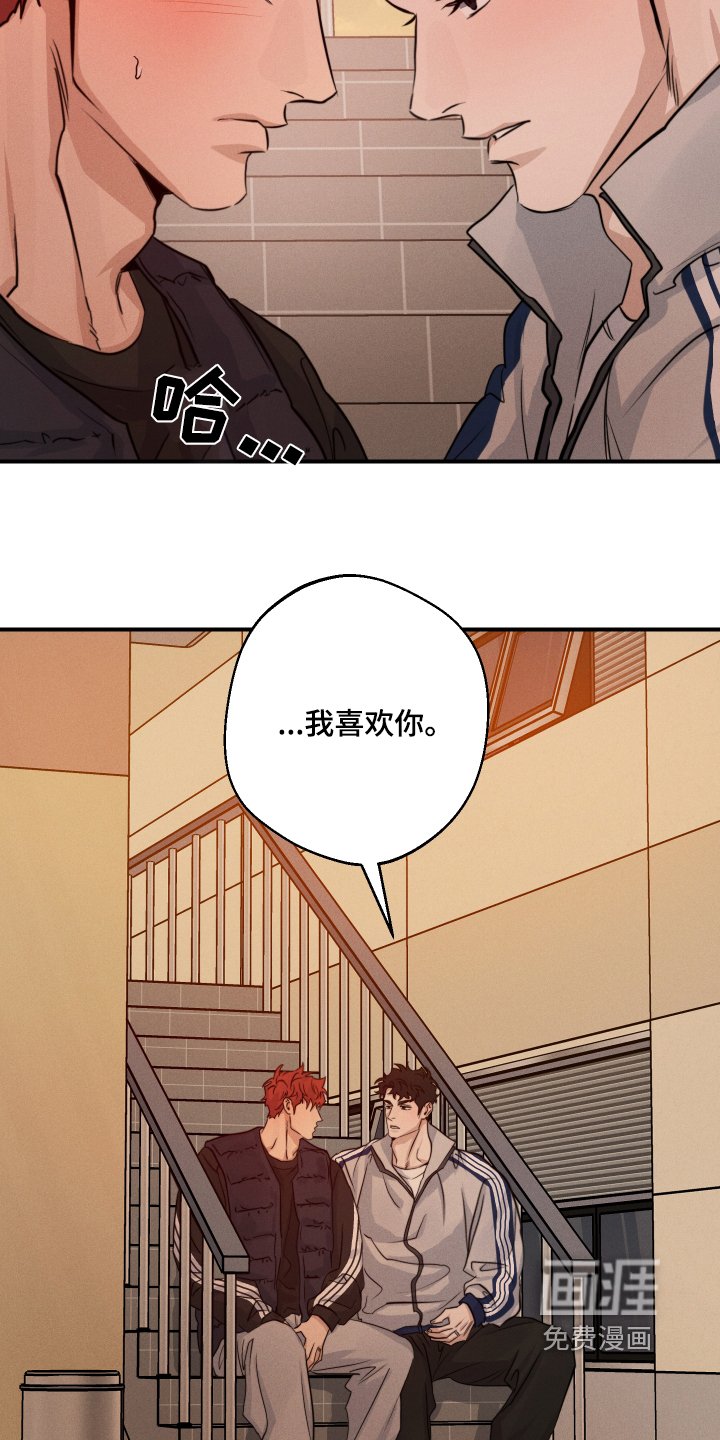 第96章：喜欢你