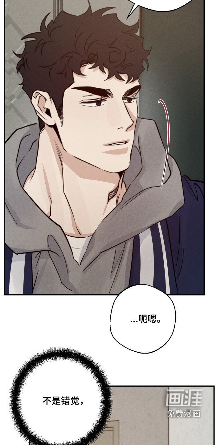 第97章：那我走了