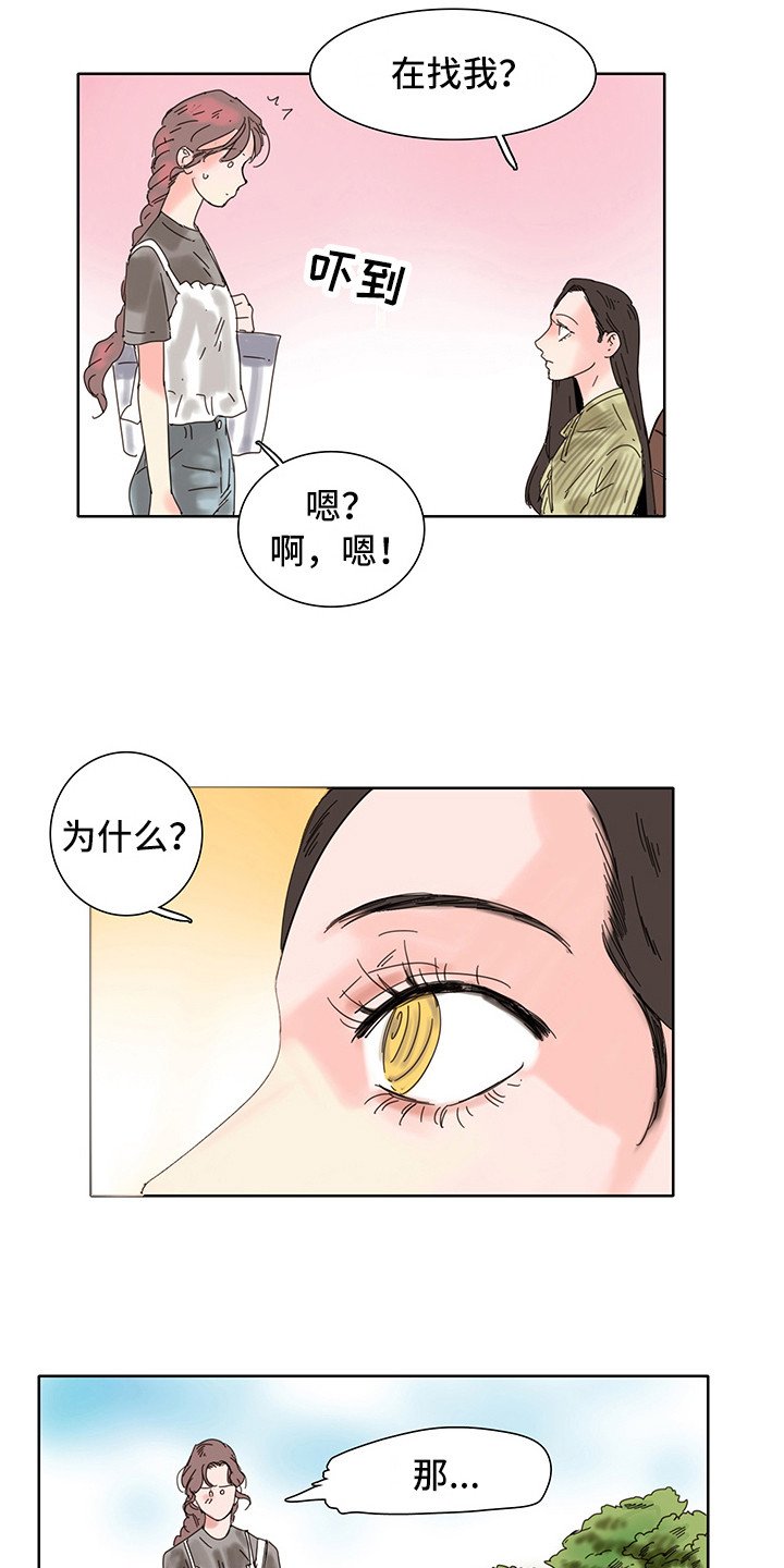 第3章：放晴