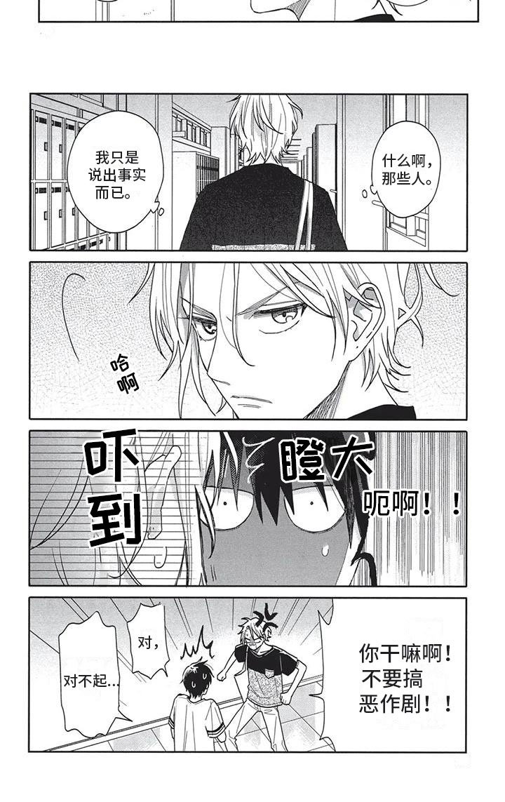 第15章：实话实说