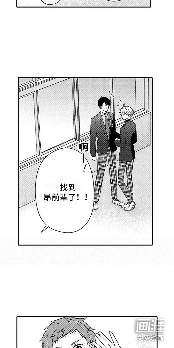 第19章：单独聊聊