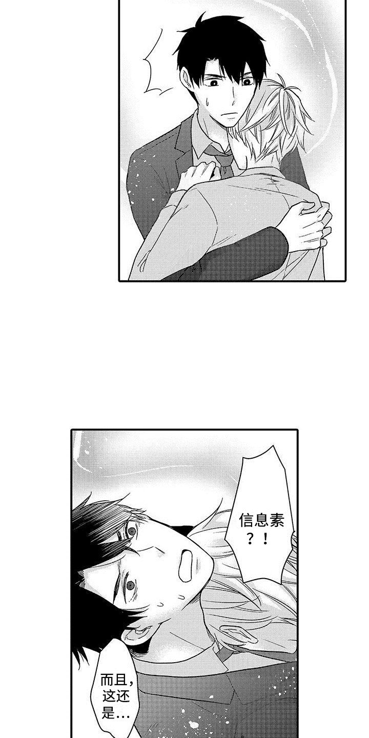 第3章：信息素