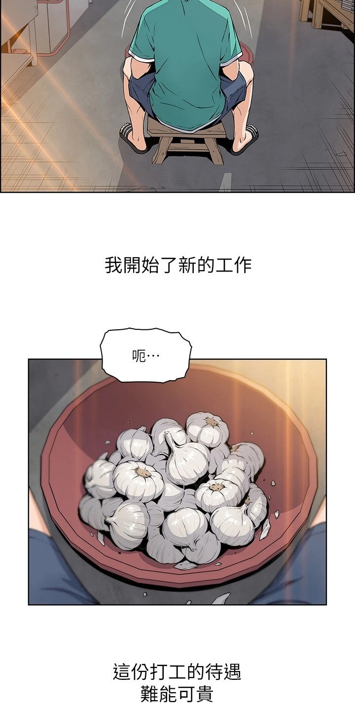 第1章：老板娘