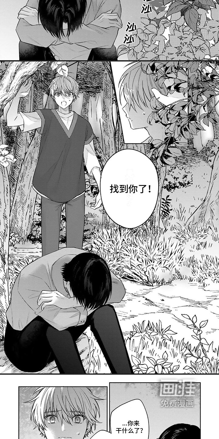 第15章：感动