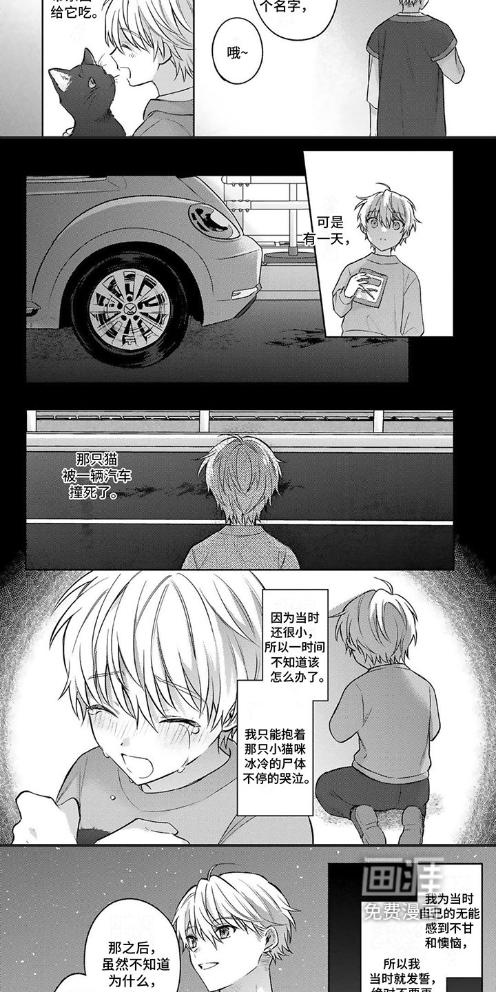 第16章：决定