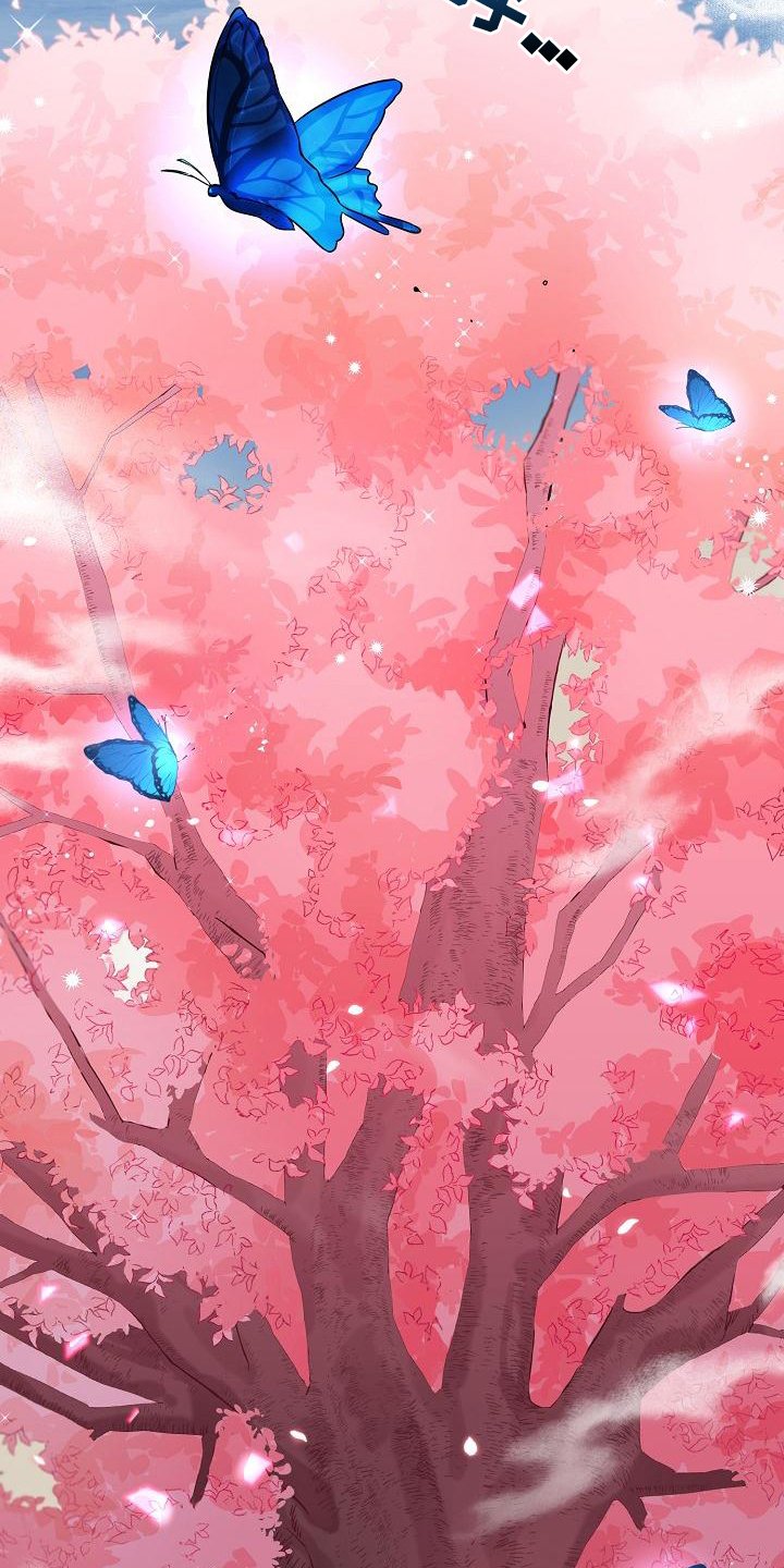 第2章：结界破