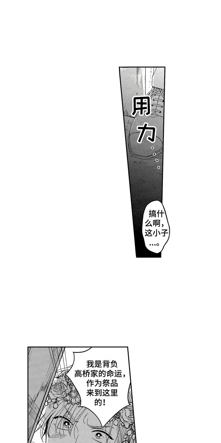第1章：祭品