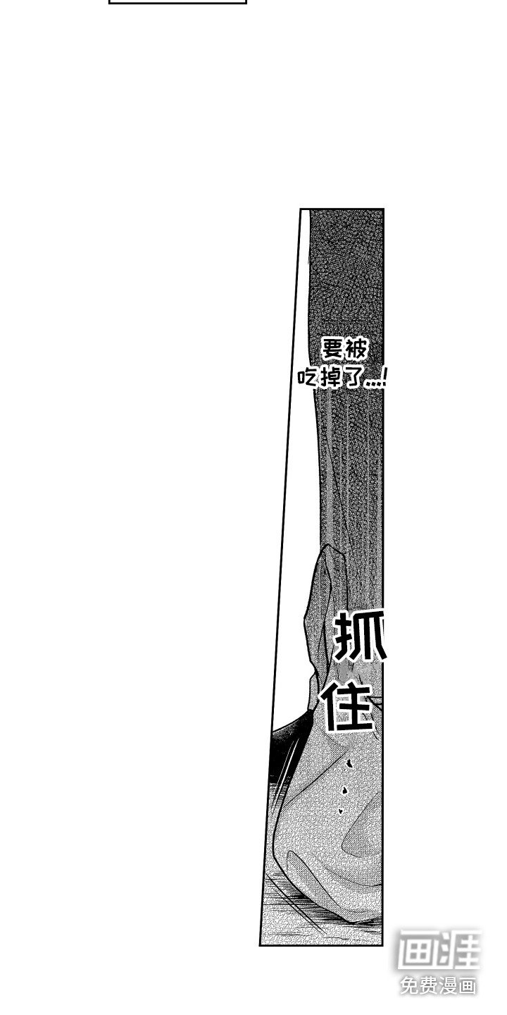 第7章：保护