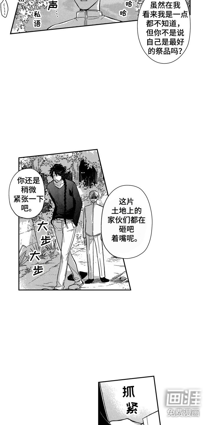 第7章：保护