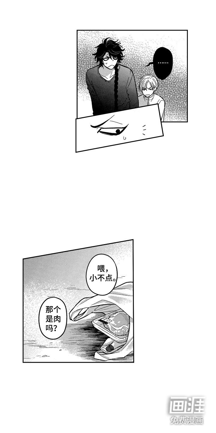 第7章：保护
