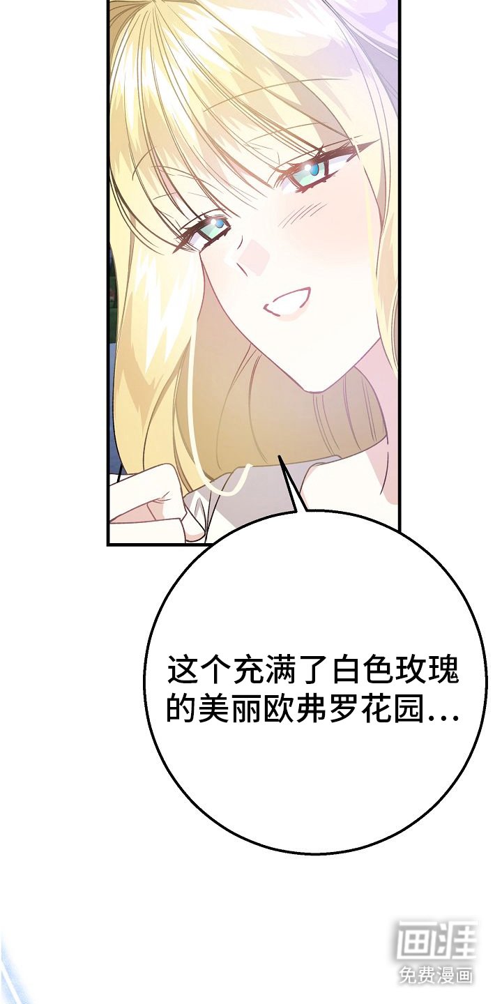 第14章：婚礼
