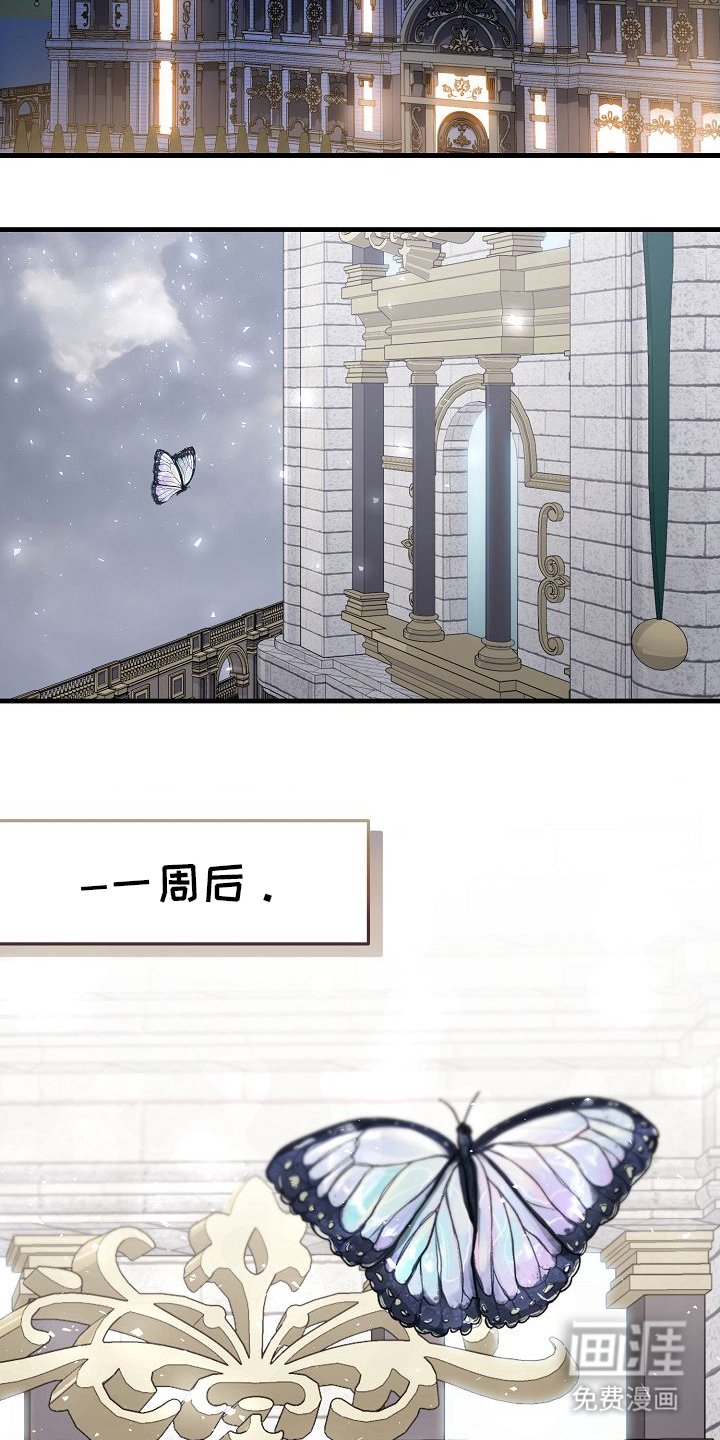 第18章：仅限新婚期间
