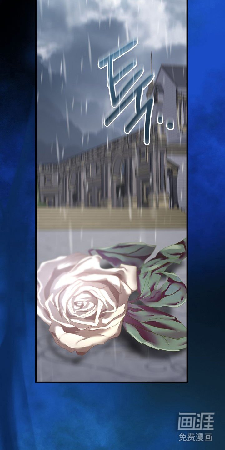 第19章：是因为我