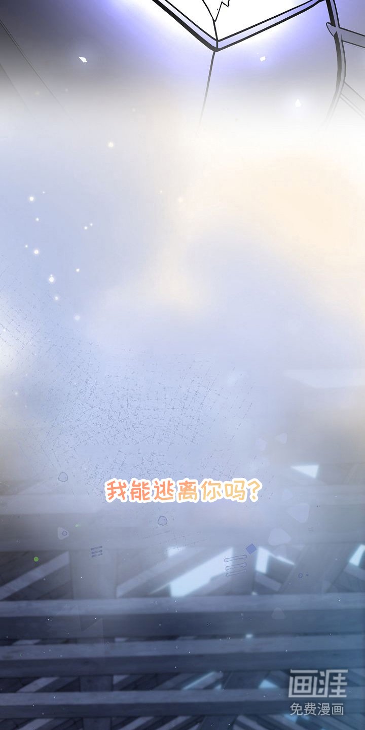 第3章：找到了