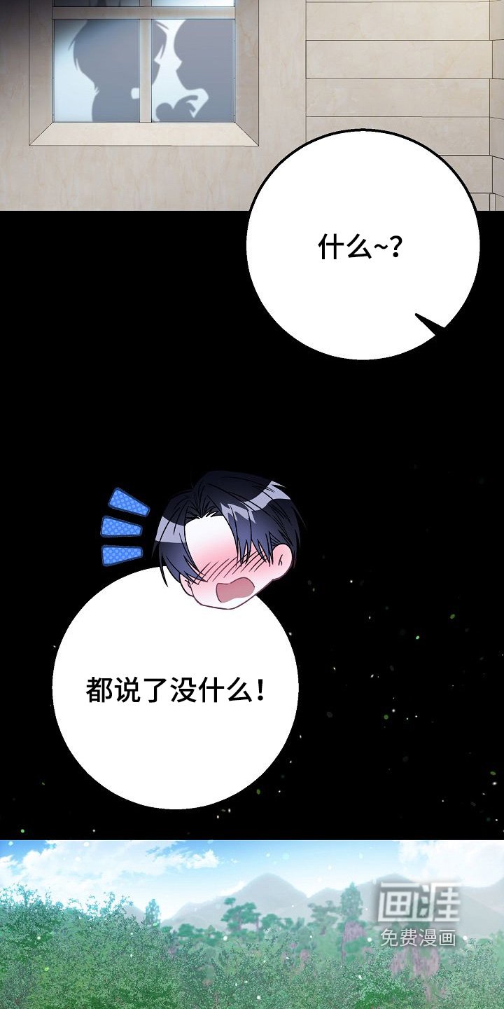 第34章：像王子一样