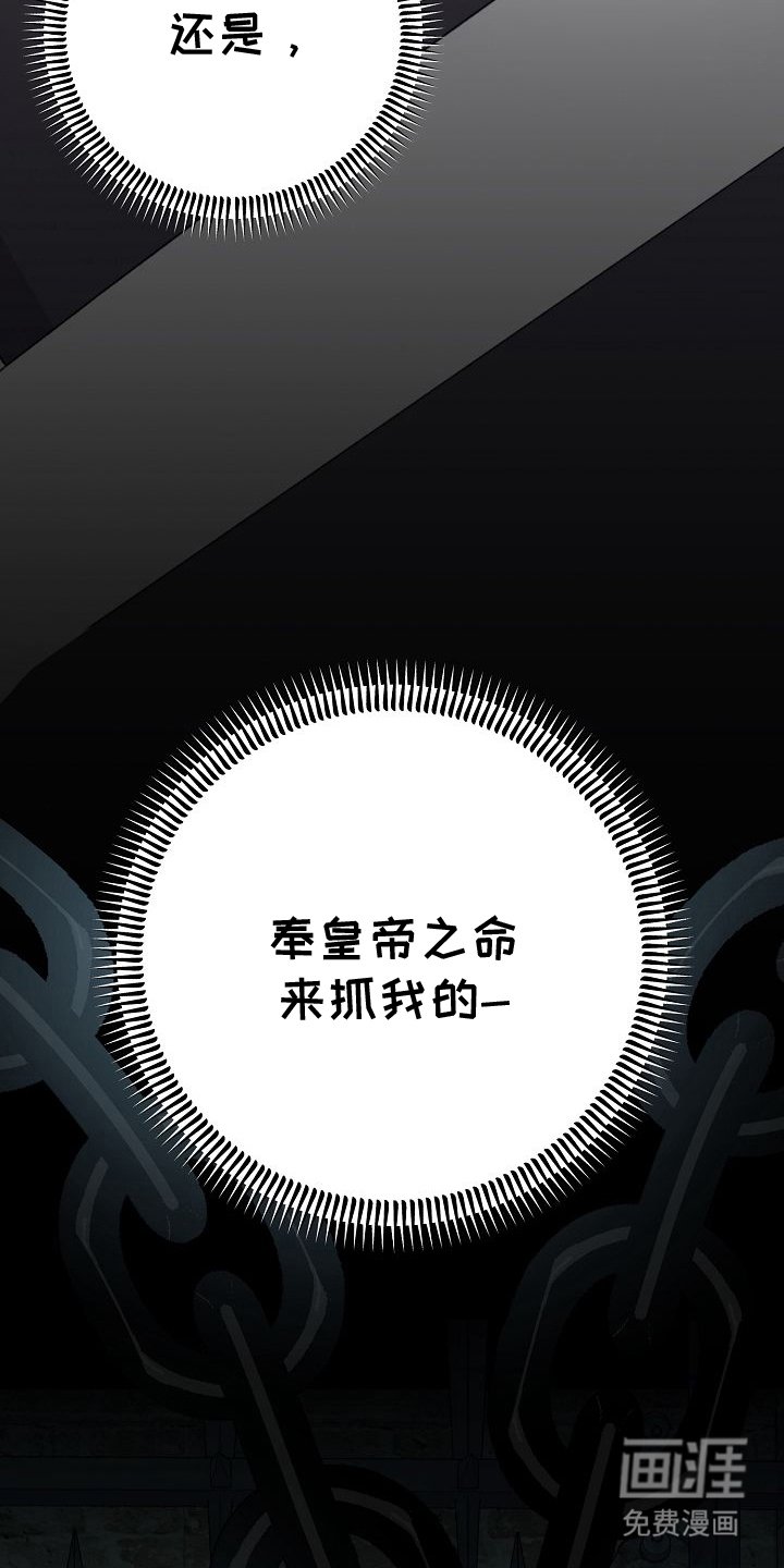 第5章：骑士团