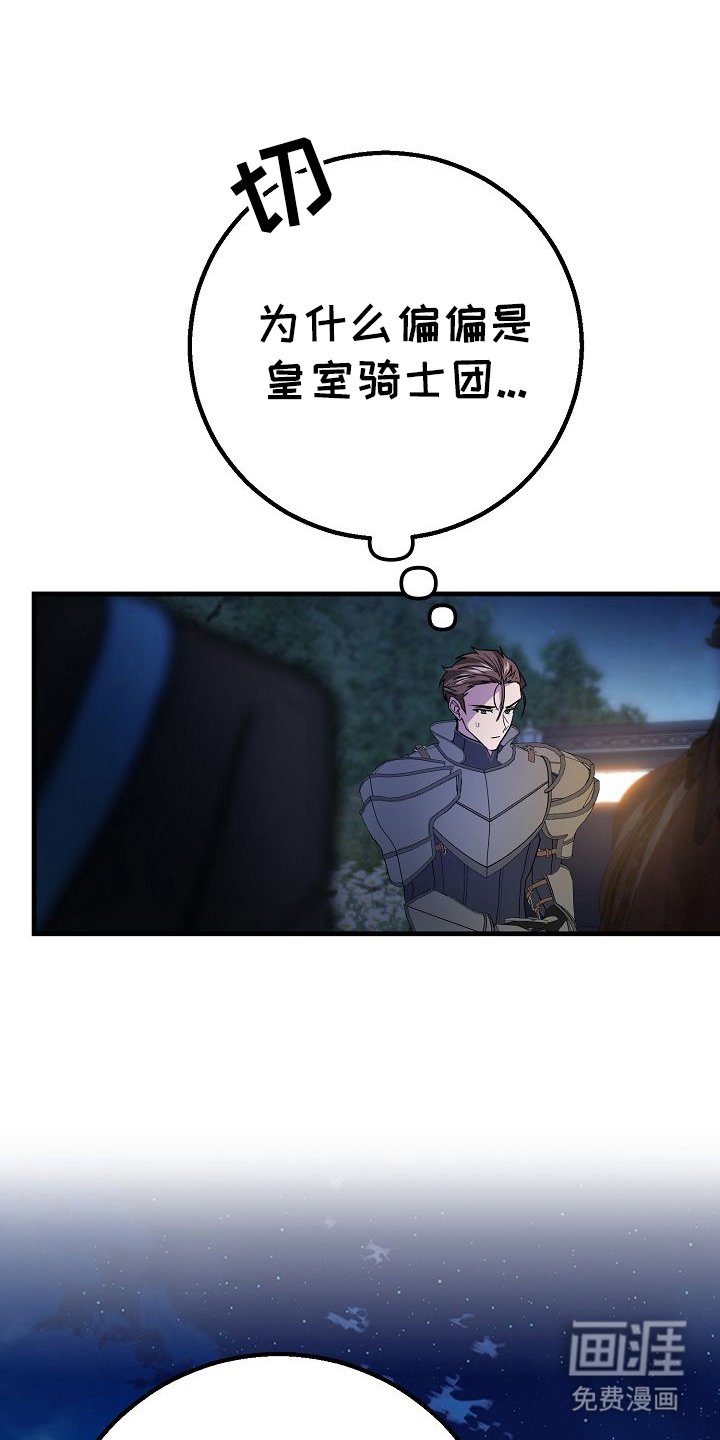 第5章：骑士团