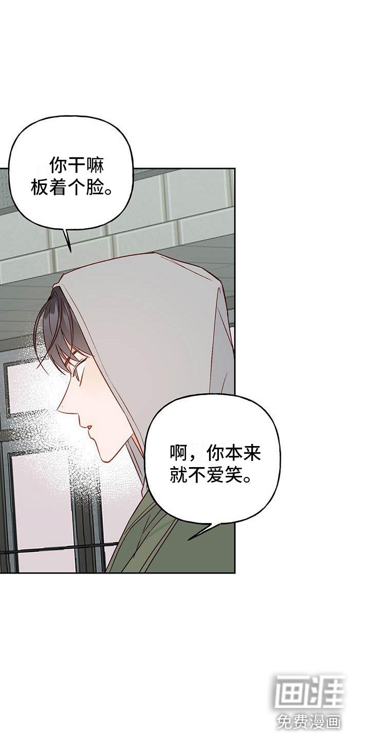 第21章：中听的话