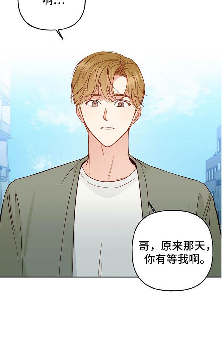 第31章：奖励