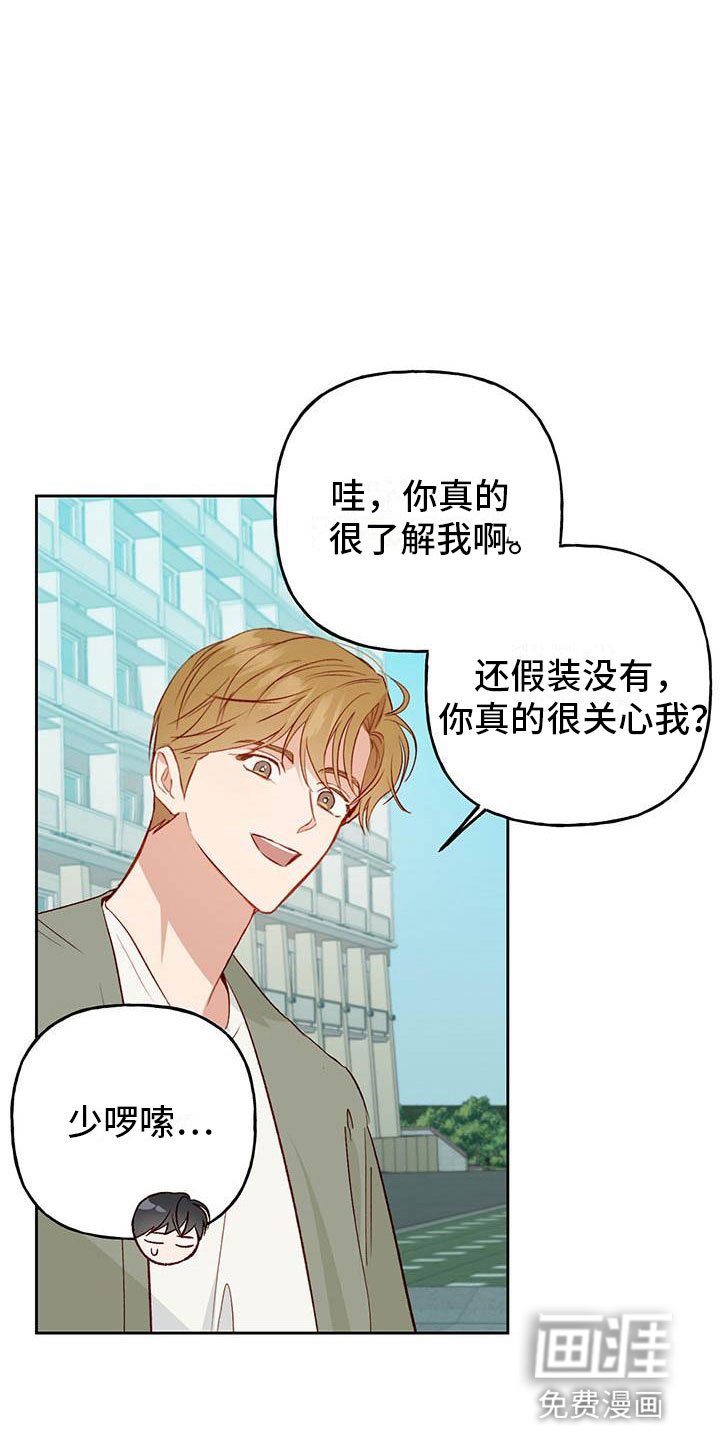 第31章：奖励