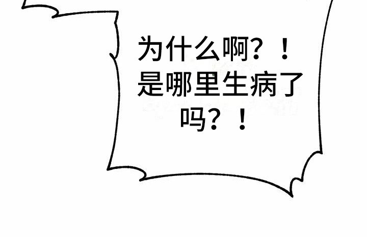 第22章：解释
