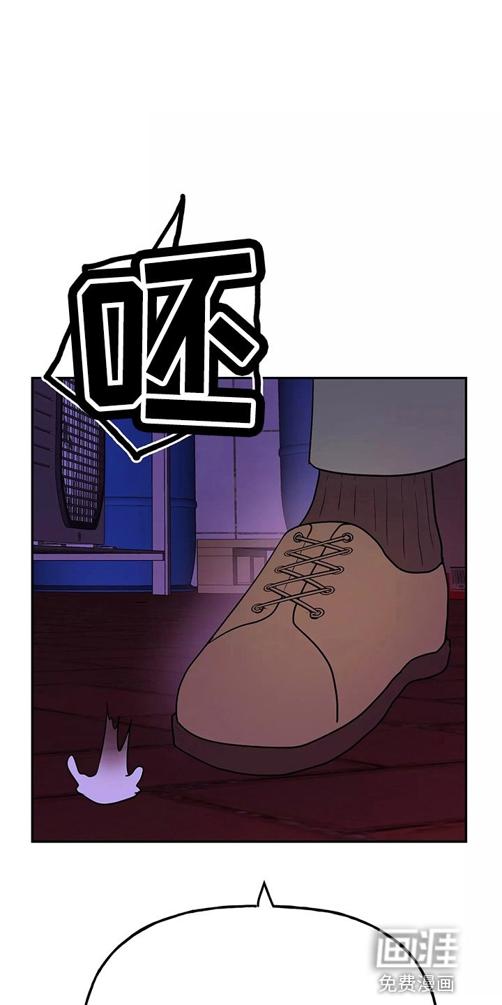 第26章：教训