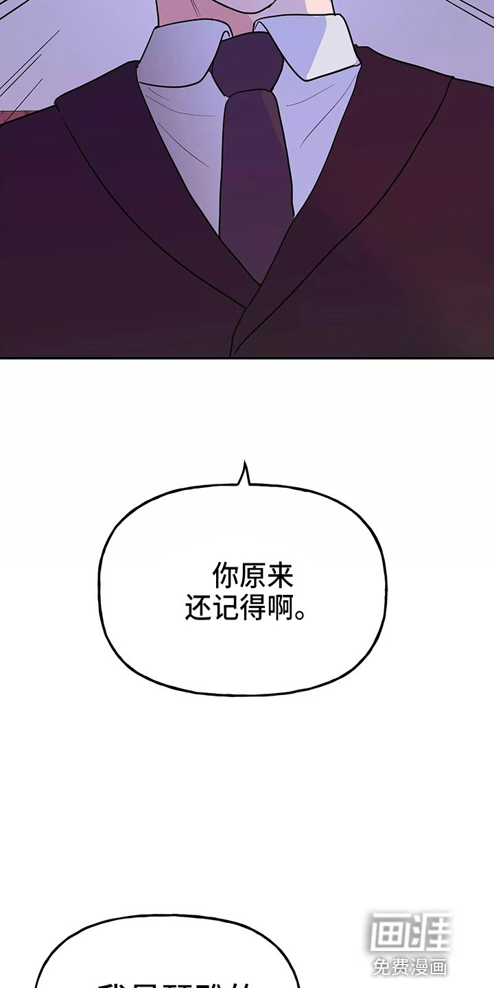 第26章：教训