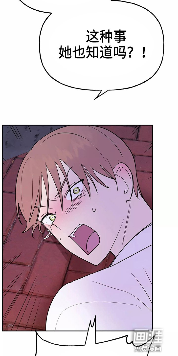 第26章：教训