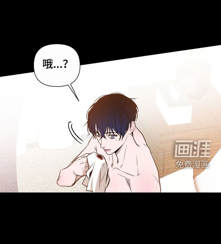 第21章：特别的存在