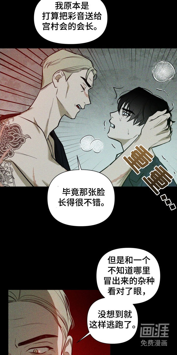 第27章：选择
